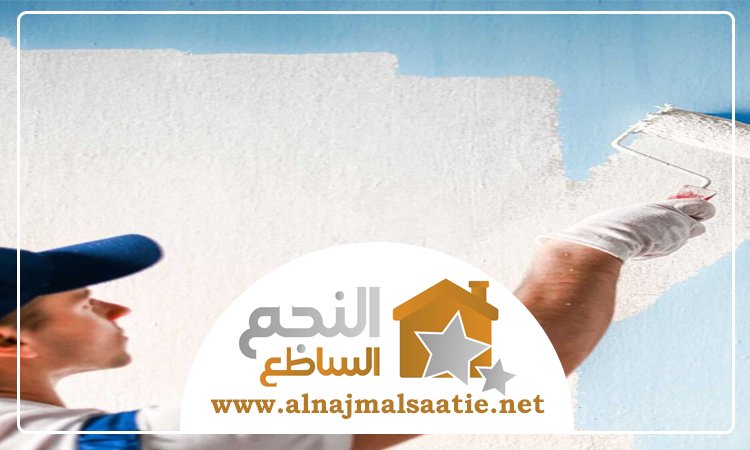 شركة صبغ في المزهر