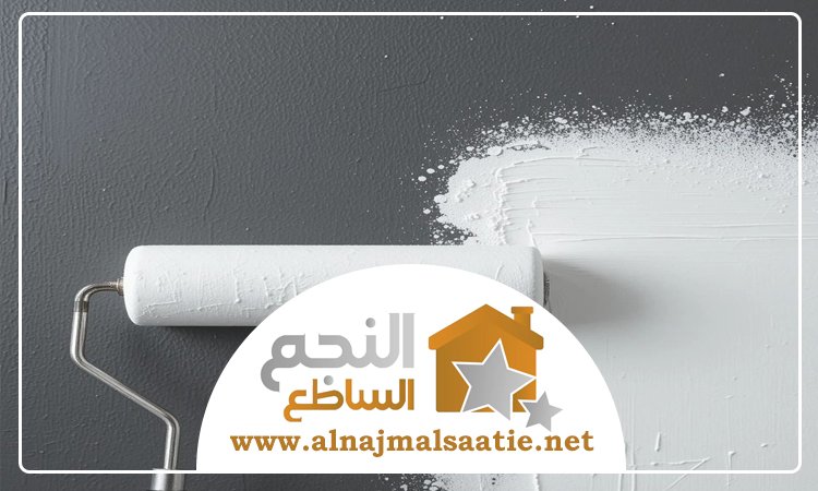 شركة صبغ في المرقبات